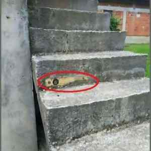 Obrázek 'vodorovne&nbsp;schody'