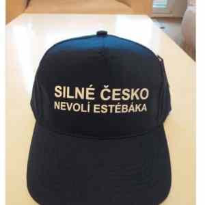 Obrázek 'volebni ksiltovka'
