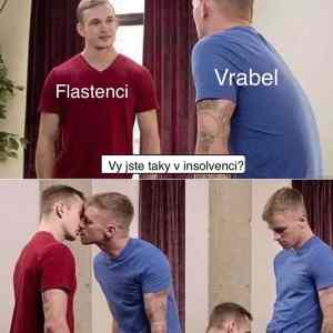 Obrázek 'vrabelovci'