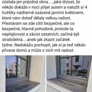 Obrázek 'vratte ty truhliky'
