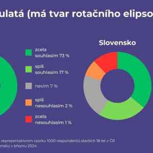 Obrázek 'vrozena idiocie '