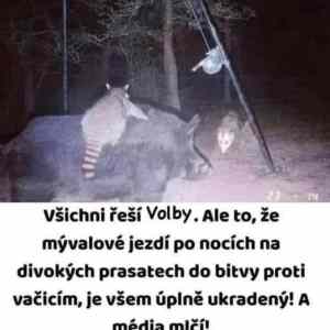 Obrázek 'vsichni resi volby'