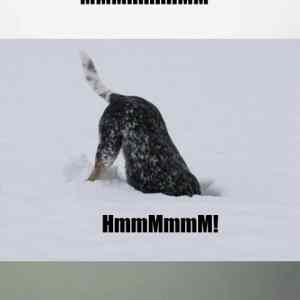 Obrázek 'vtipny&nbsp;text'