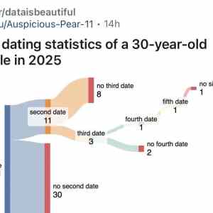 Obrázek 'vybirava&nbsp;rajda'