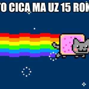 Obrázek 'vyrocie&nbsp;cicy'