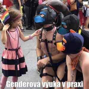 Obrázek 'vyroste z ni dezolatka nebo libtardka otaznik'