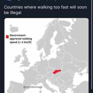 Obrázek 'walking speed'