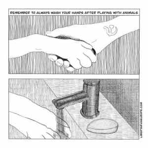 Obrázek 'wash your hands'