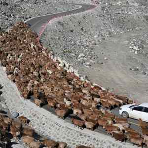 Obrázek 'weIcome&nbsp;to&nbsp;slovakia'