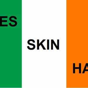 Obrázek 'what irish flag means'