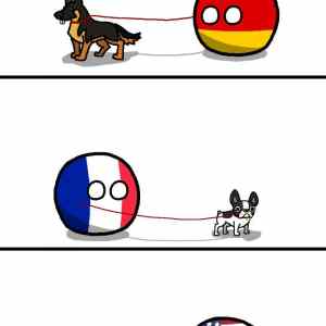 Obrázek 'what pet do you have'