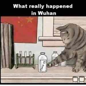 Obrázek 'what really happened in wuhan'