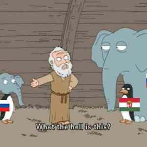 Obrázek 'what the hell is this'