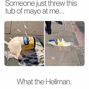 Obrázek 'what the hellmans'