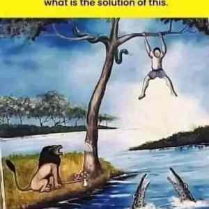 Obrázek 'whats the solution'