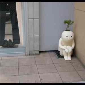 Obrázek 'when&nbsp;you&nbsp;get&nbsp;high&nbsp;as&nbsp;f&nbsp;ck&nbsp;at&nbsp;a&nbsp;party&nbsp;540'