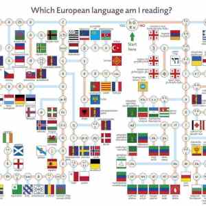 Obrázek 'which&nbsp;language'