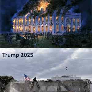 Obrázek 'white house'