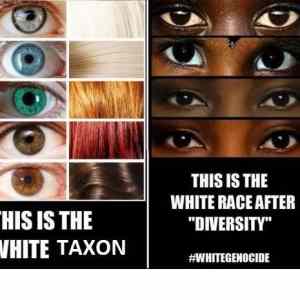 Obrázek 'whitetaxon'