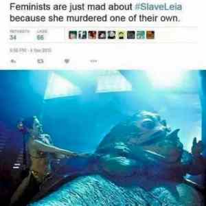 Obrázek 'why feminists hate Leia'