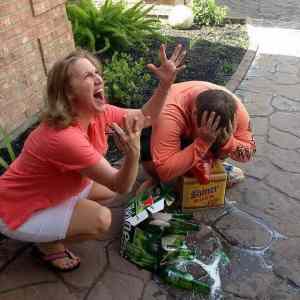 Obrázek 'why&nbsp;got&nbsp;why'