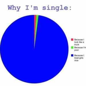 Obrázek 'why im single'