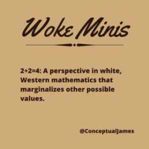 Obrázek 'woke math'