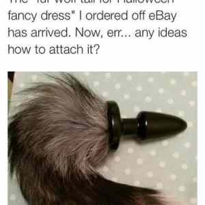 Obrázek 'wolf&nbsp;tail'