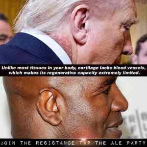 Obrázek 'wolverine&nbsp;powers'