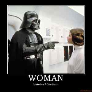 Obrázek 'woman-demotivational-poster'