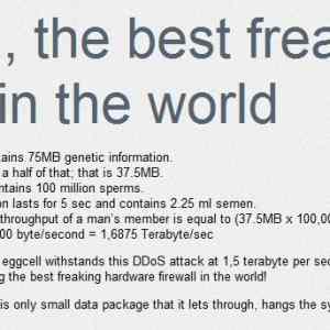 Obrázek 'women the best firewall'