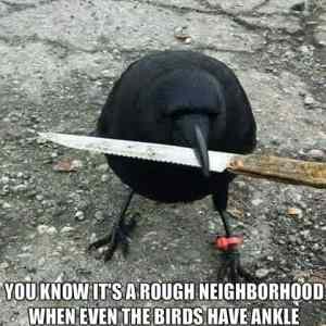 Obrázek 'wrong neighbirdhood'