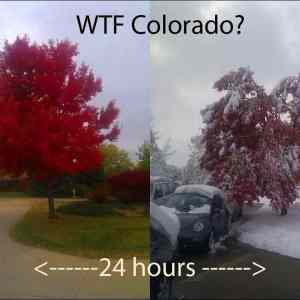 Obrázek 'wtf colorado'