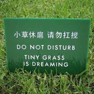 Obrázek 'wut grass is dreaming'