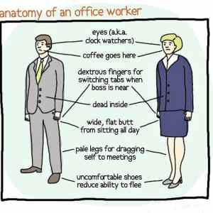 Obrázek 'xAnatomy of an office worker - 25-05-2012'