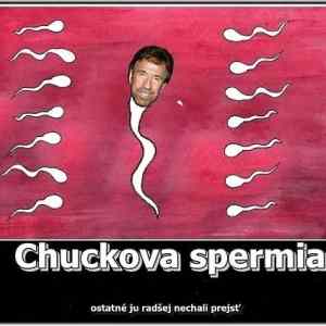 Obrázek 'xChuck Norris Sperm 16-03-2012'