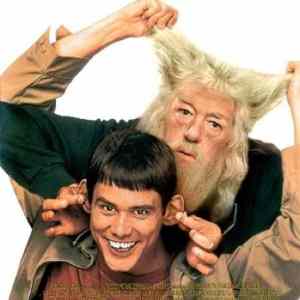 Obrázek 'xDumb and Dumbledore'