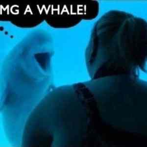 Obrázek 'xOMG a Whale 19-03-2012'