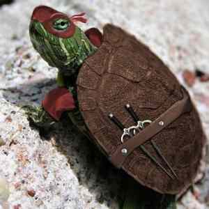 Obrázek 'xReal ninja turtle 18-12-2011'
