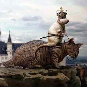 Obrázek 'xToday - we hunt dragons - 15-06-2012'