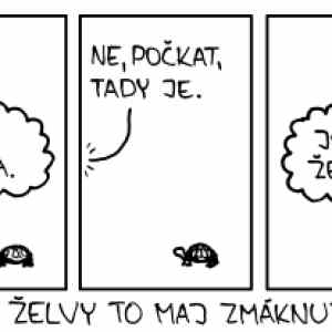 Obrázek 'xkcd-889 czech'