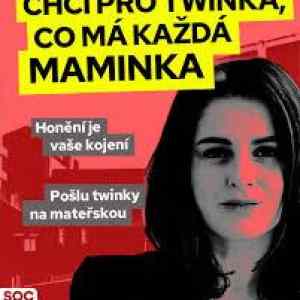 Obrázek 'xyz-socdemproroumenisty'