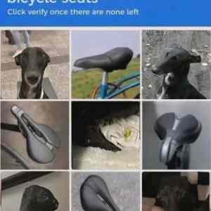 Obrázek 'xyz&nbsp;sedla'