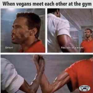 Obrázek 'xyz vegani'