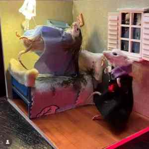 Obrázek 'xyz vymysac'