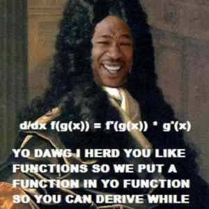 Obrázek 'yo-dawg-derive-while-you-derive-700'