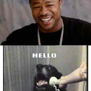 Obrázek 'yo daawg'