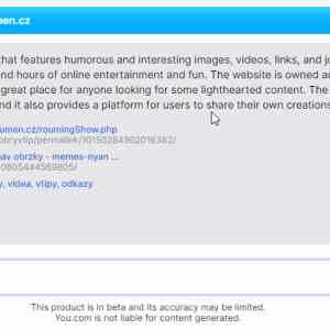Obrázek 'you.com - what is kecy.roumen.cz'