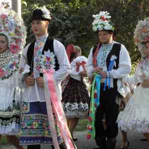 Obrázek 'you never can have too much flowers Slovakia'