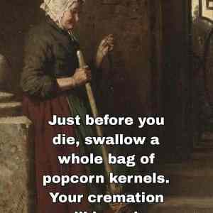Obrázek 'your epic cremation'